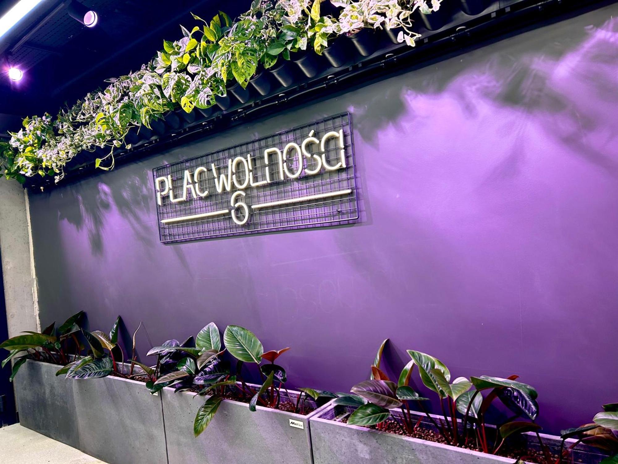 Apartamento Pl. Wolnosci 6 *